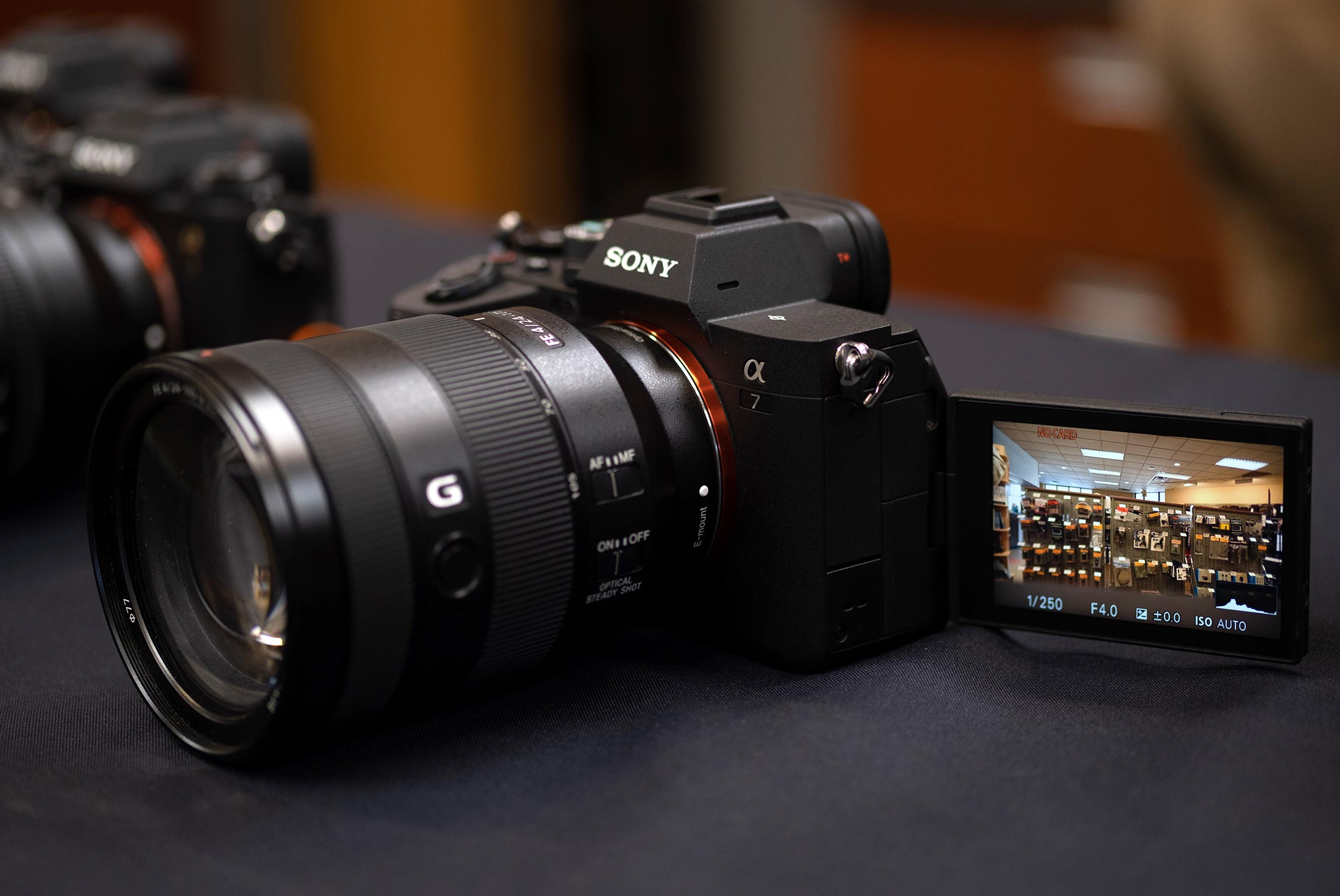 Sony Alpha A7IV - First Thoughts