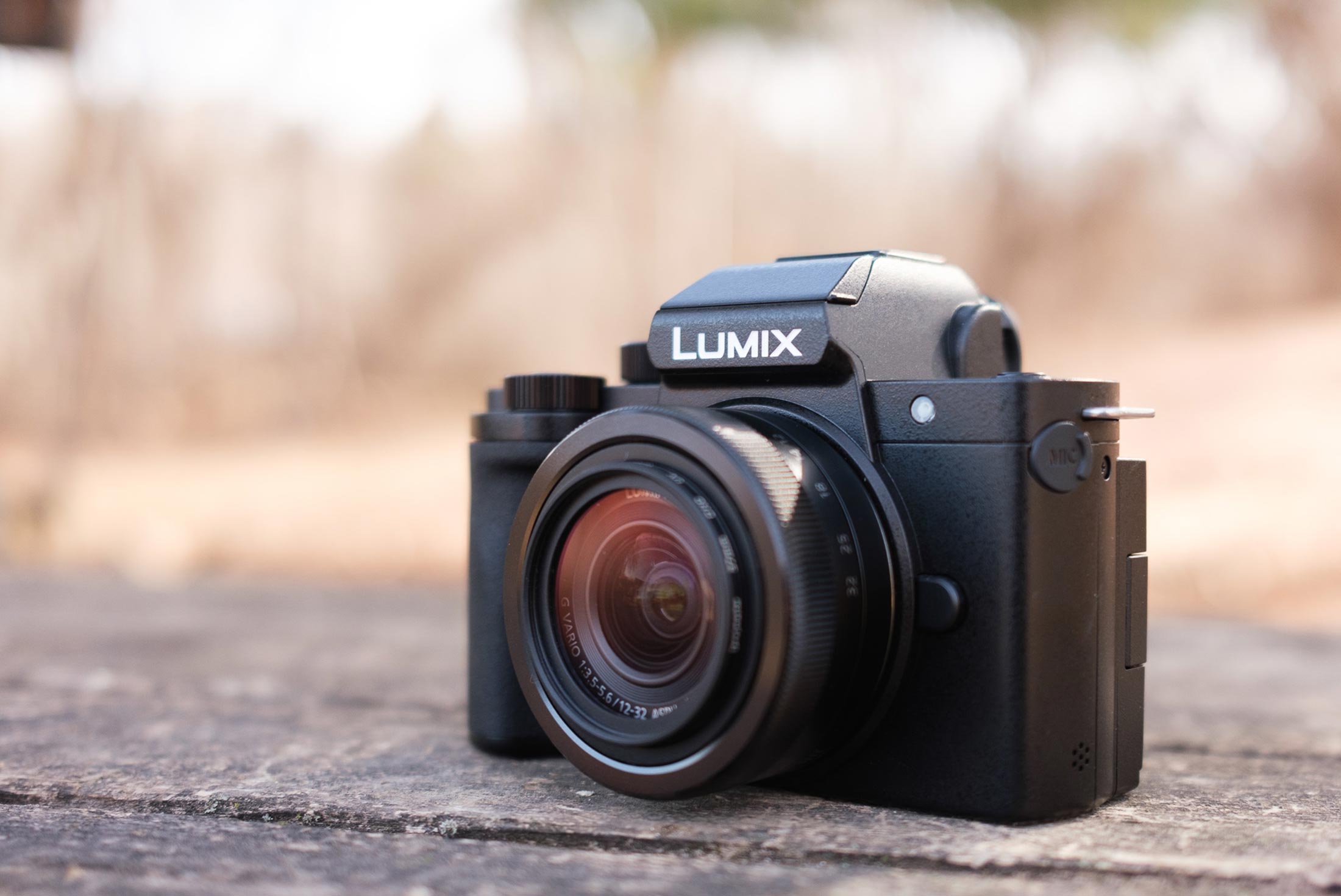 Panasonic Lumix G100 Review