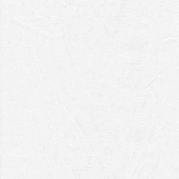 Promaster 9353 6x10 Foot Solid White Background