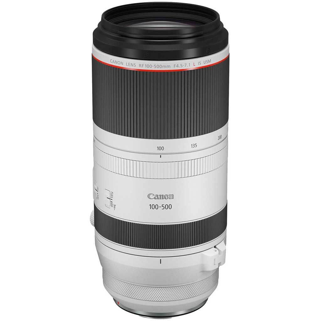 【ワンオーナー】Canon RF100-500mm L IS USM【即納】 Canon RF 100-500mm f/4.5-7.1L IS USM Lens | Rockbrook Camera