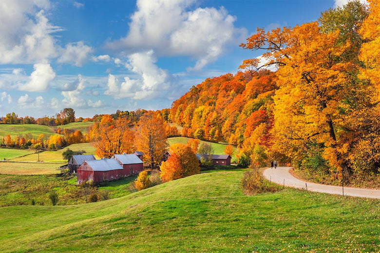 Quick Tips for Capturing Fall Landscapes