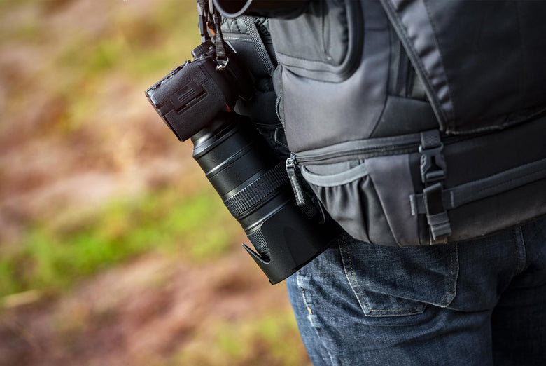 4 Reasons To Have a 100-400mm Lens in Your Kit