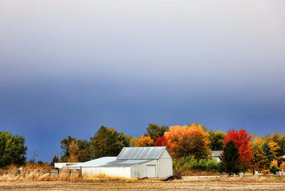 Photography Tip: Capturing Fall Color