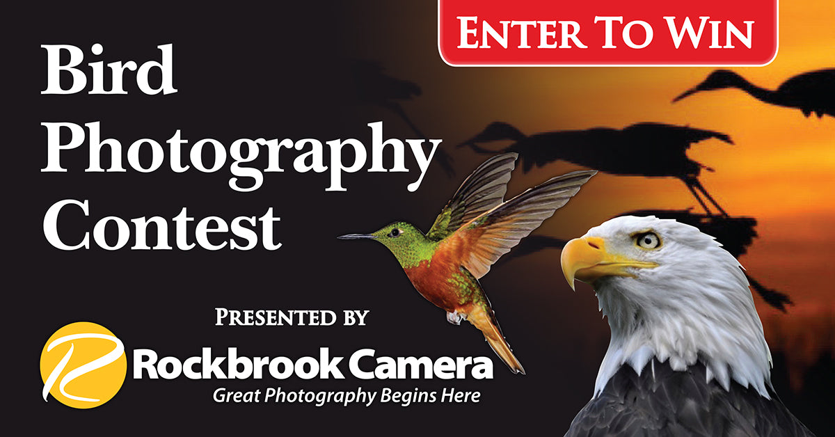 Bird Photography Contest
