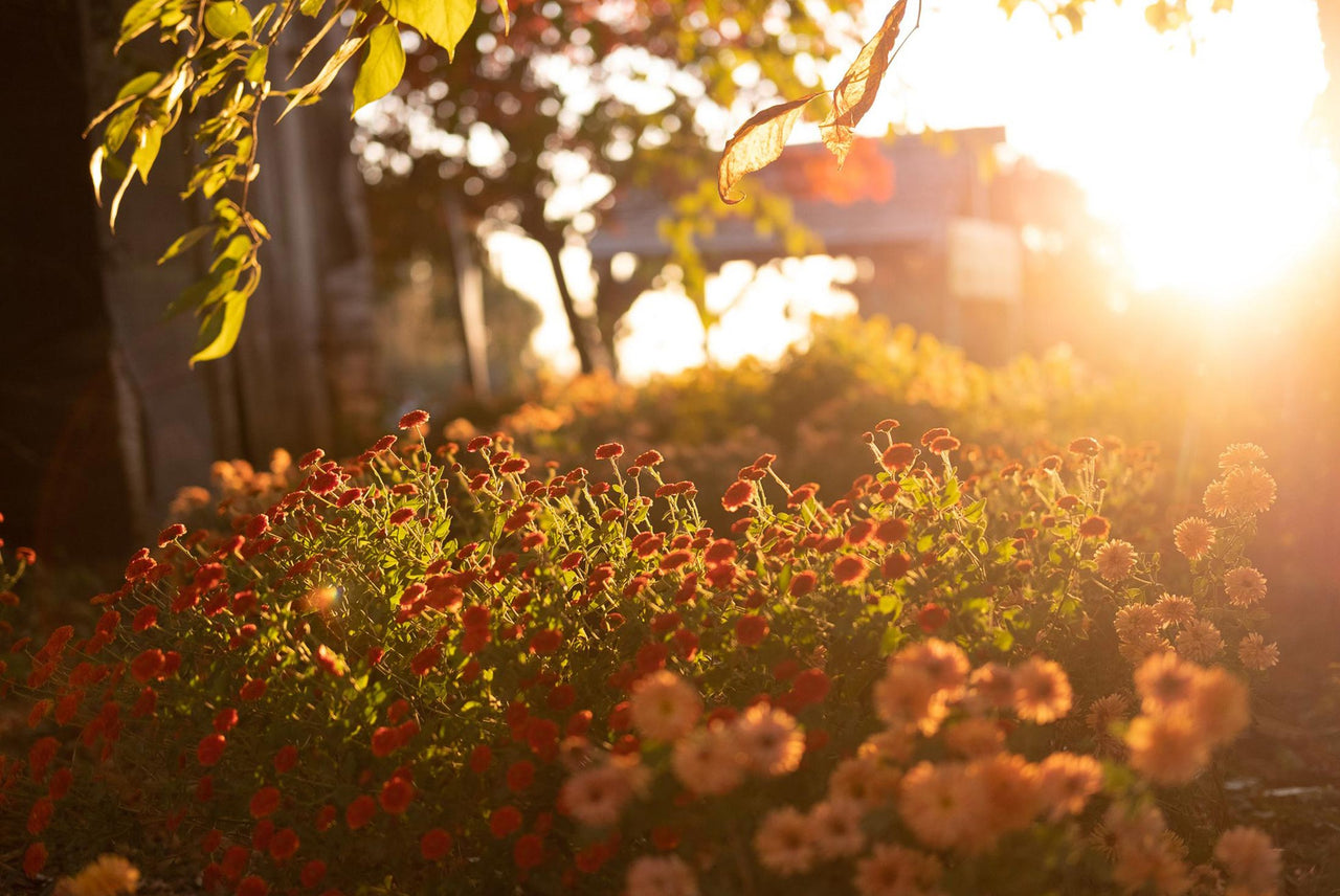 Gear Up for Fall’s Amazing Colors and Scenes