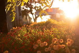 Gear Up for Fall’s Amazing Colors and Scenes