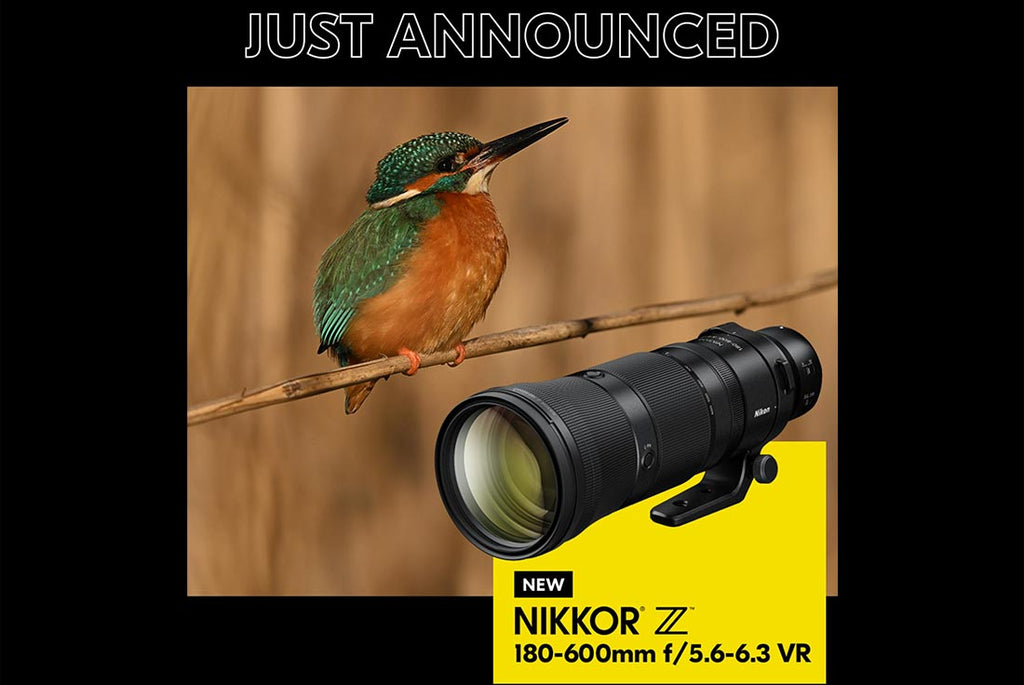 Two New Nikon Z Lenses Just Announced Rockbrook Camera