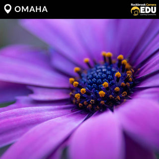 OMAHA: Macro Photography Workshop