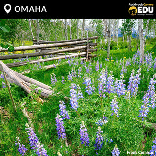 OMAHA: Photographing Wildflowers Seminar with Frank Comisar from Scenic Aperture