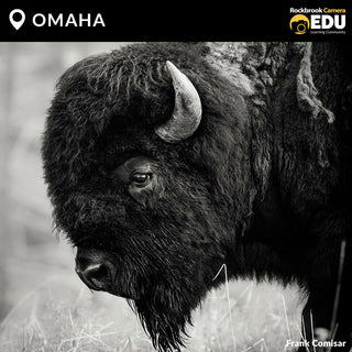 OMAHA: Wildlife Photography Seminar with Frank Comisar from Scenic Aperture