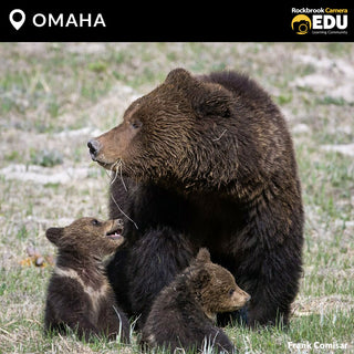 OMAHA: Wildlife Photography Seminar with Frank Comisar from Scenic Aperture