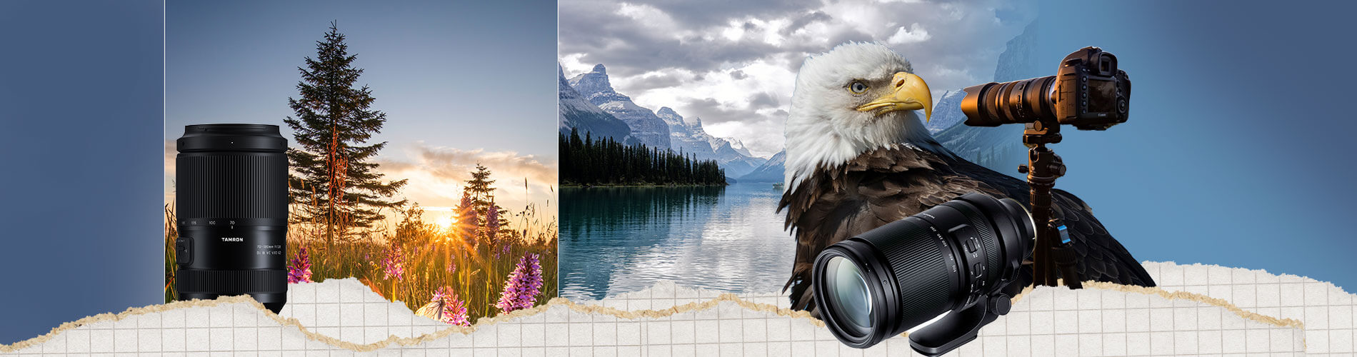 Camera lens with snowy landscape and trees, eagle with camera on mountain background