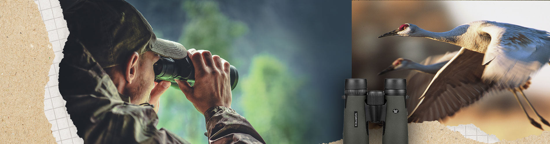 Person using a binoculars with a nature-themed background featuring birds.