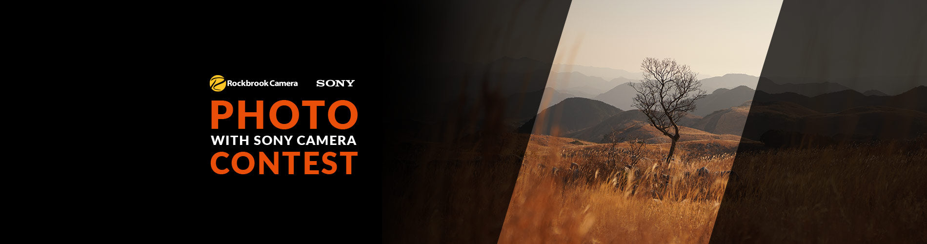 2026 sony photo contest hero banner aa6cac68 81e0 4b73 a163 f34a95ae9898