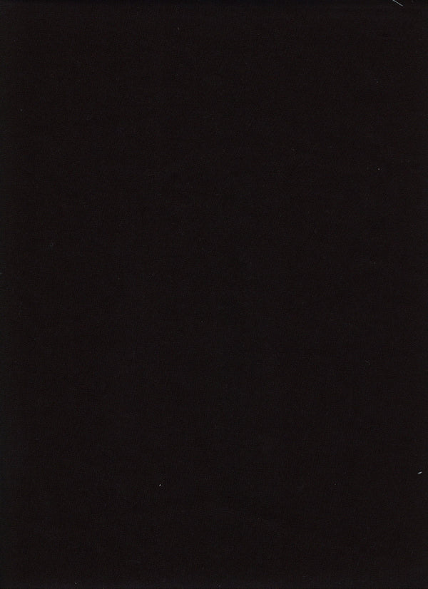 Promaster 9346 6x10 Foot Solid Black Background