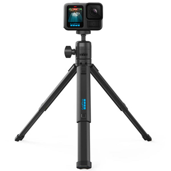 Camera Mounted on GoPro Tripod + Ball Head