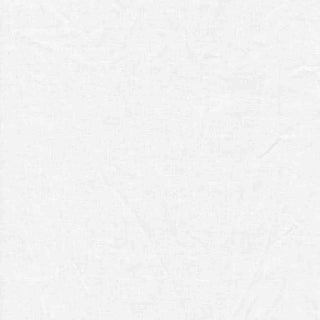 Promaster 9353 6x10 Foot Solid White Background