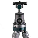Ball Head of the Promaster 94536 iota 219 Ultralightweight Tabletop Tripod Kit Carbon Fiber