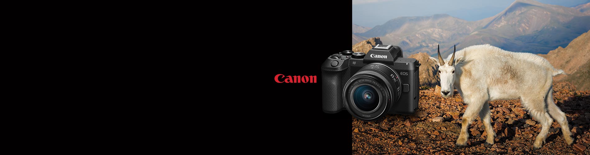 Canon R8 Mark II camera with sample image of a mountain goat
