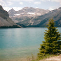 Lake with mountains and a tree in the foreground