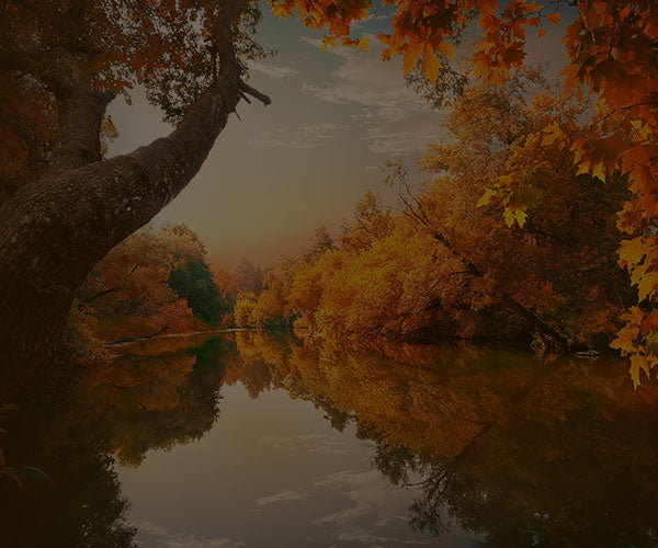 Composition Deep Dive