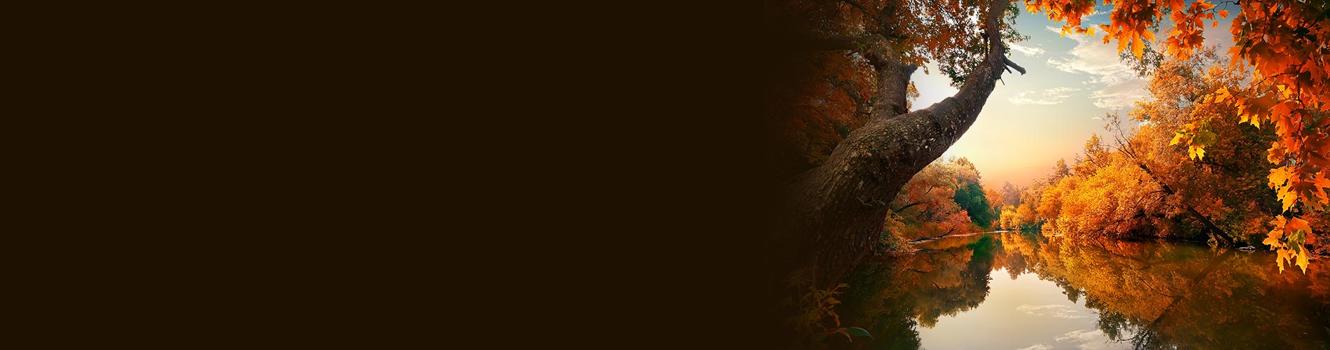 Composition Deep Dive