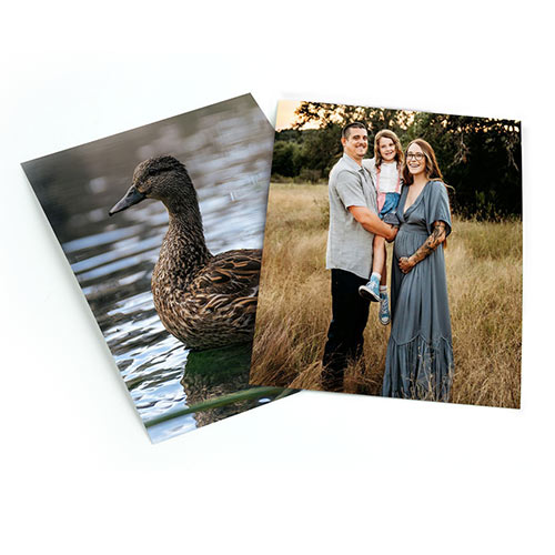 Two photo prints, one of a duck and the other of a family in a field.