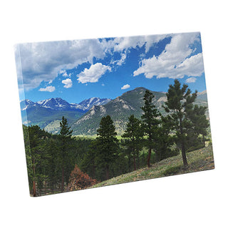 Canvas Wraps