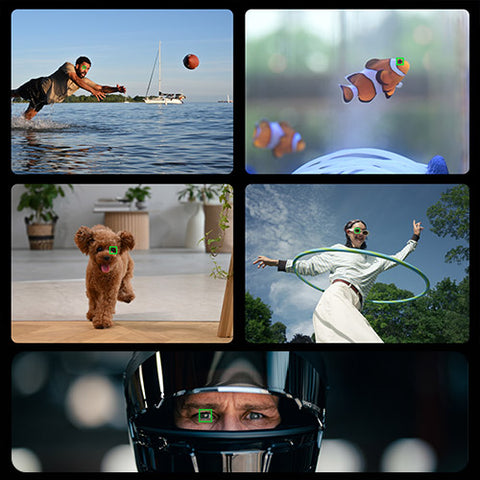 <h4 style="text-align: center;">Advanced Autofocus</h4> <p style="text-align: center;">Automatic detection of 10 subjects: people, birds, dogs, cats, fish, cars, bicycles, motorcycles, trains and airplanes.</p>