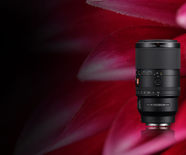 FE 100mm Macro