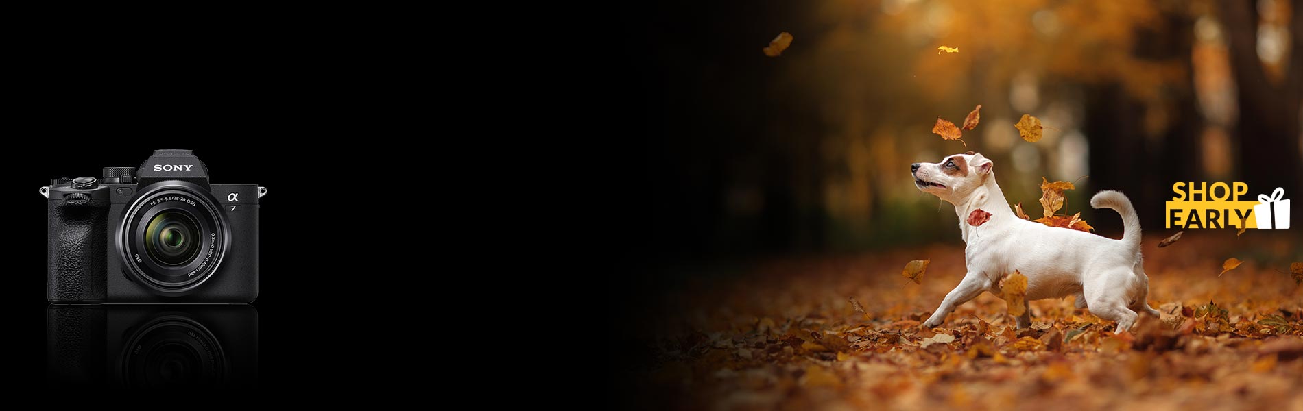 Sony alpha a7IV camera