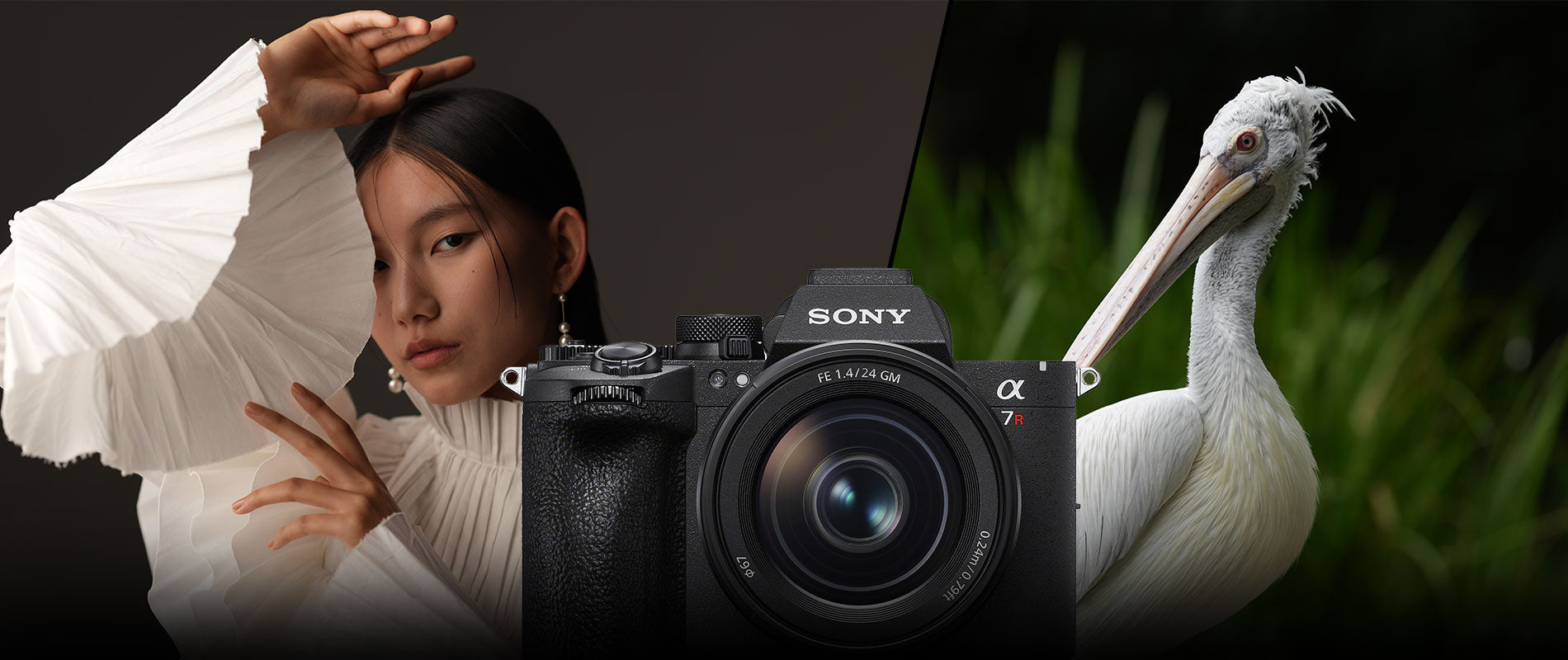 Sony camera with a woman and a pelican in the background