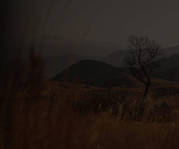 Photo Contest
