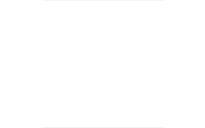 Vortex Optics Logo