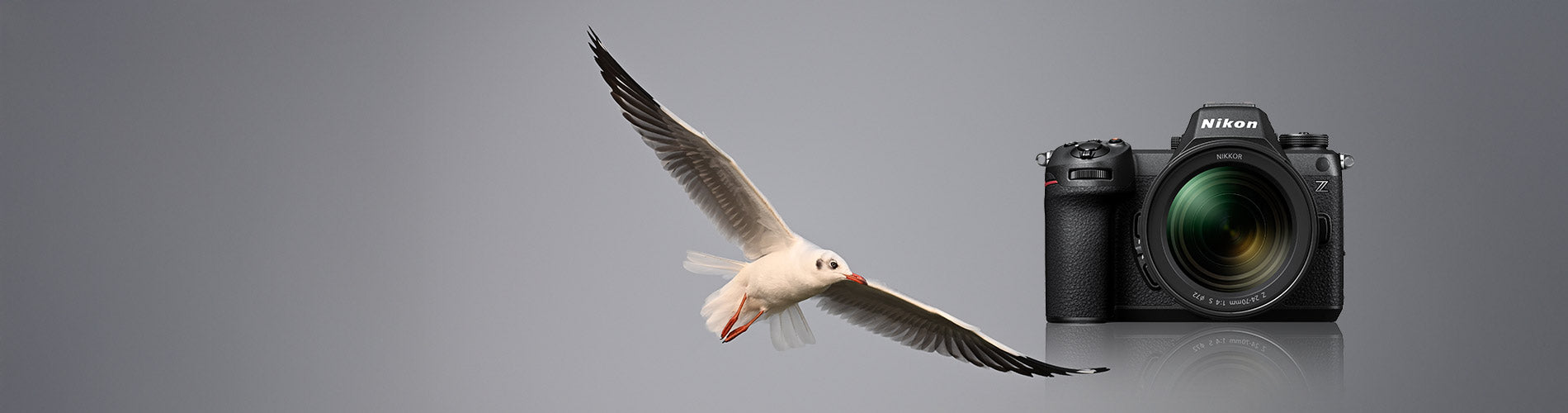 Nikon Z6III