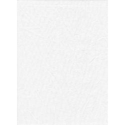 Promaster 10x12 Poly Cotton White Backdrop