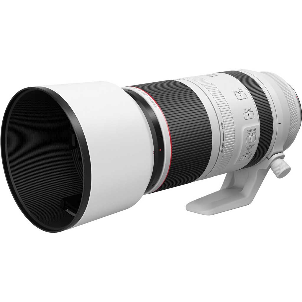 Canon RF 100-500mm f/4.5-7.1L IS USM Super Telephoto Zoom
