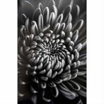 PROMASTER FINE ART BARYTA NATURAL SATIN PAPER 8.5X11 | 20 SHEETS