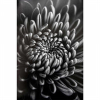 PROMASTER FINE ART BARYTA NATURAL SATIN PAPER 8.5X11 | 20 SHEETS