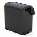 PRO NP-F980PD POWERHOUSE