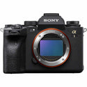 Sony Alpha A1 camera body