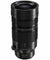 Panasonic Lumix G Leica DG Vario-Elamr 100-400mm f/4-6.3 ASPH Power OIS Lens